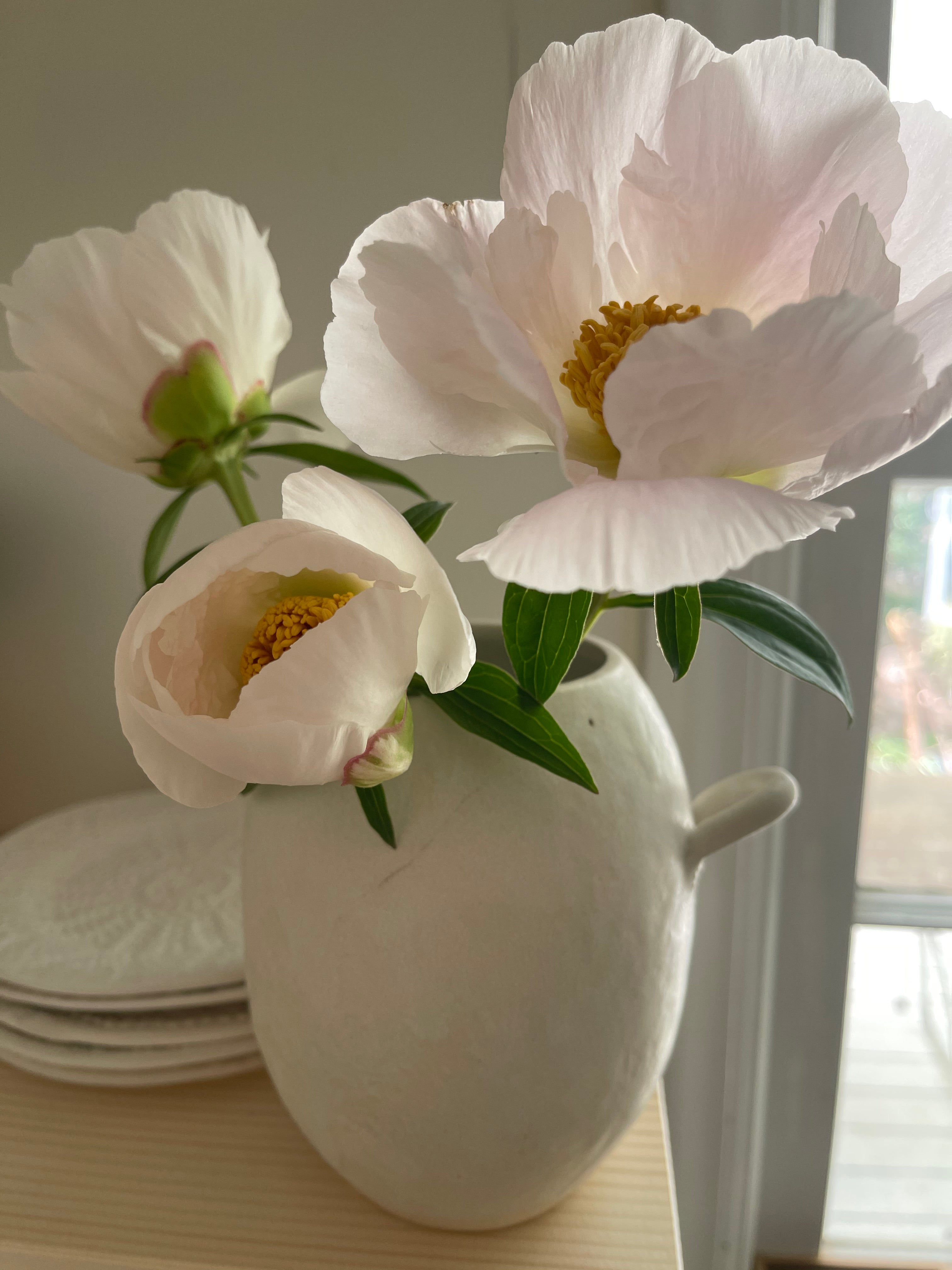 Handmade ceramic bud vase with a bellied shape and small handle