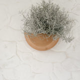 Handmade natural stoneware half-moon wall planter by Muddy Heart