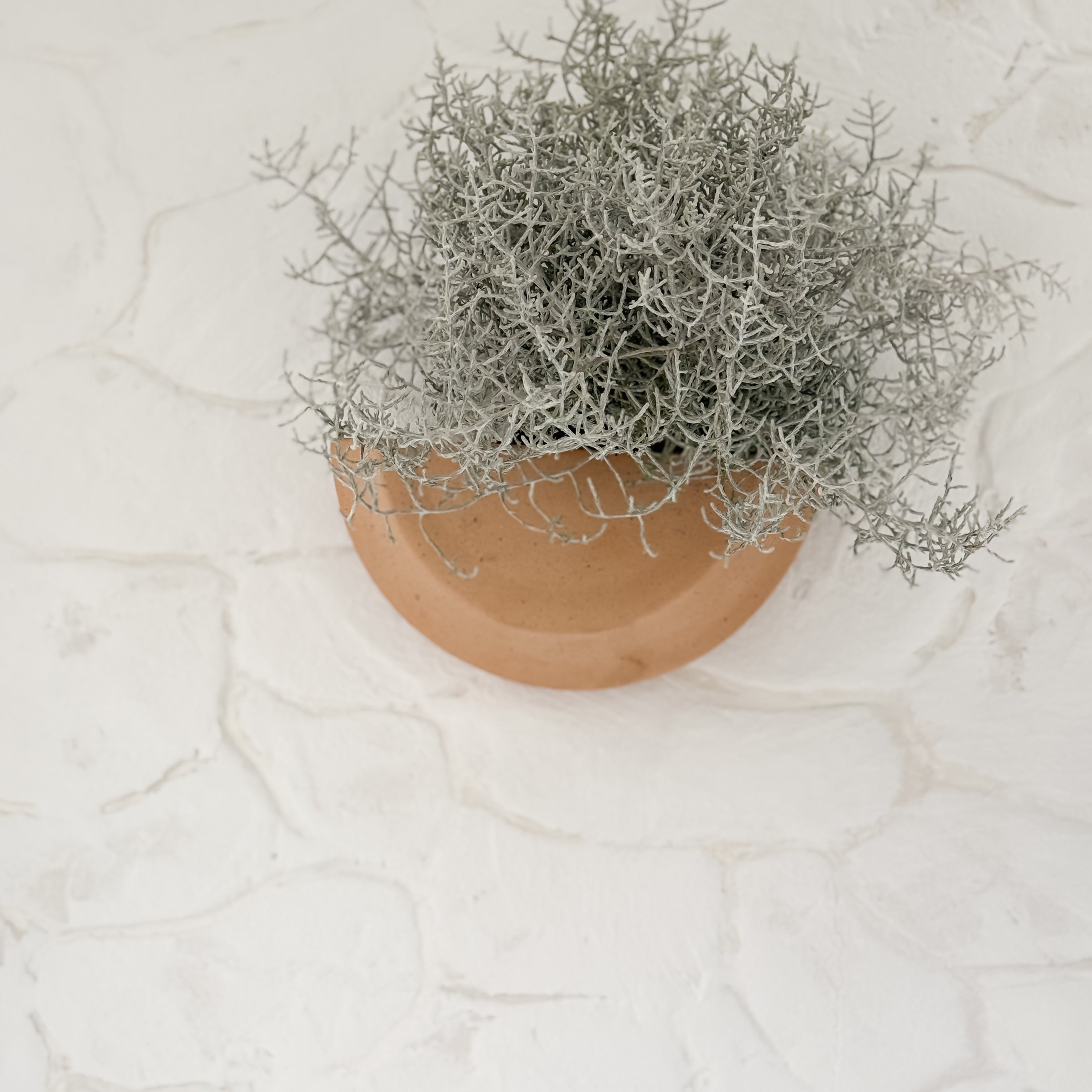 Handmade natural stoneware half-moon wall planter by Muddy Heart