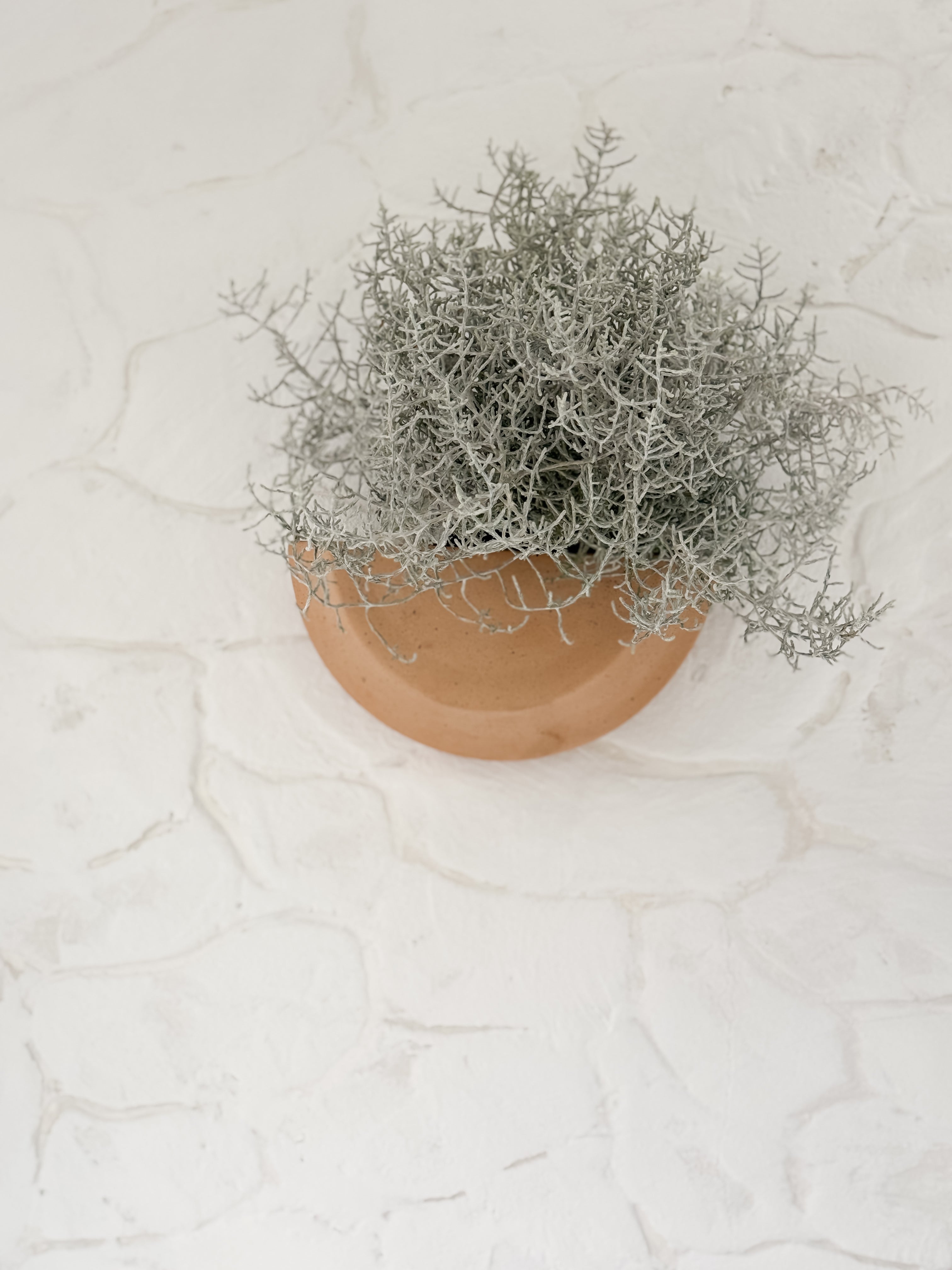Handmade natural stoneware half-moon wall planter by Muddy Heart