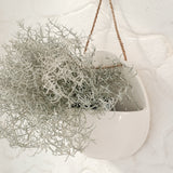Handmade round ceramic wall pocket planter in a neutral finish by Muddy Heart