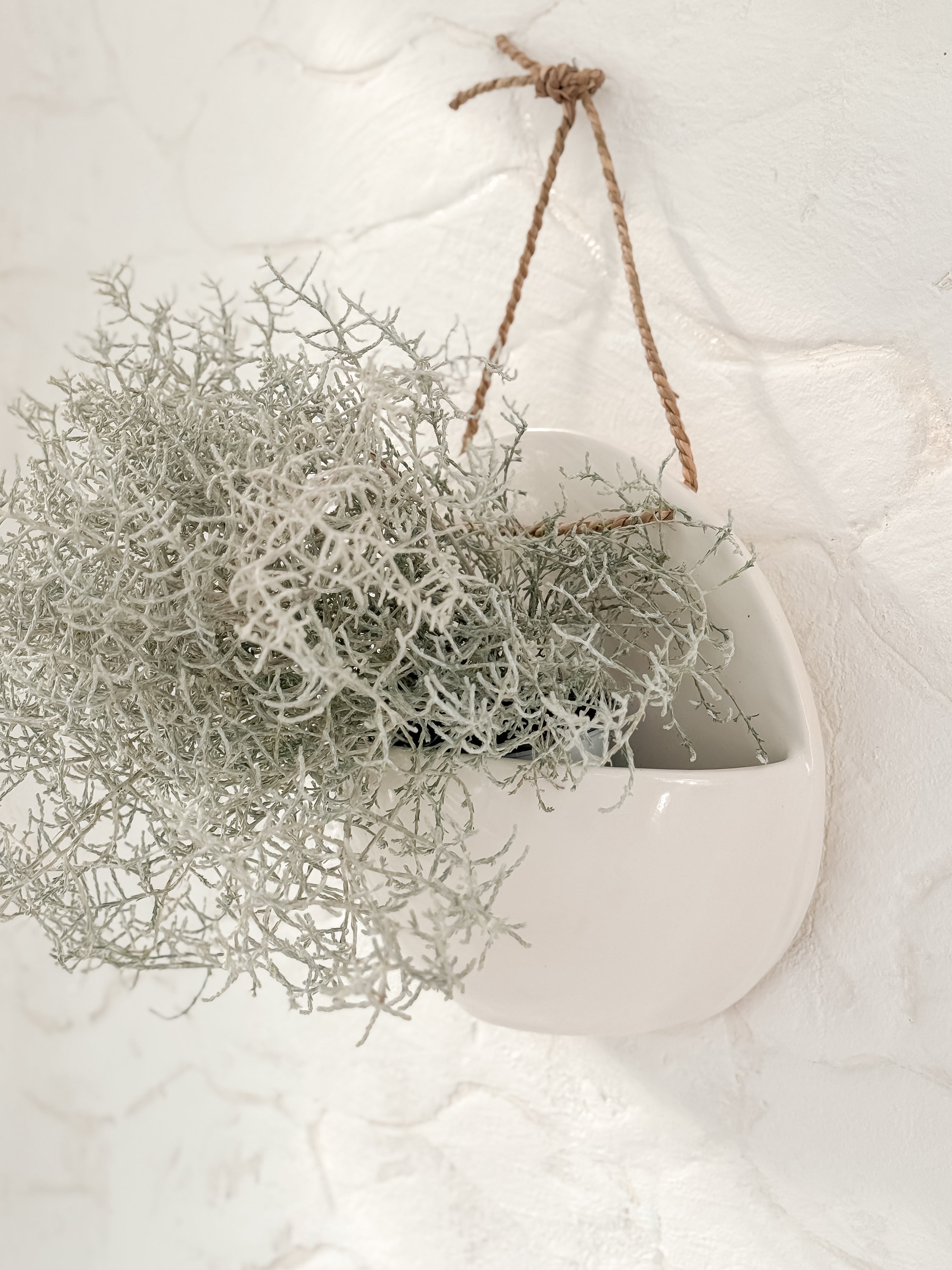 Handmade round ceramic wall pocket planter in a neutral finish by Muddy Heart