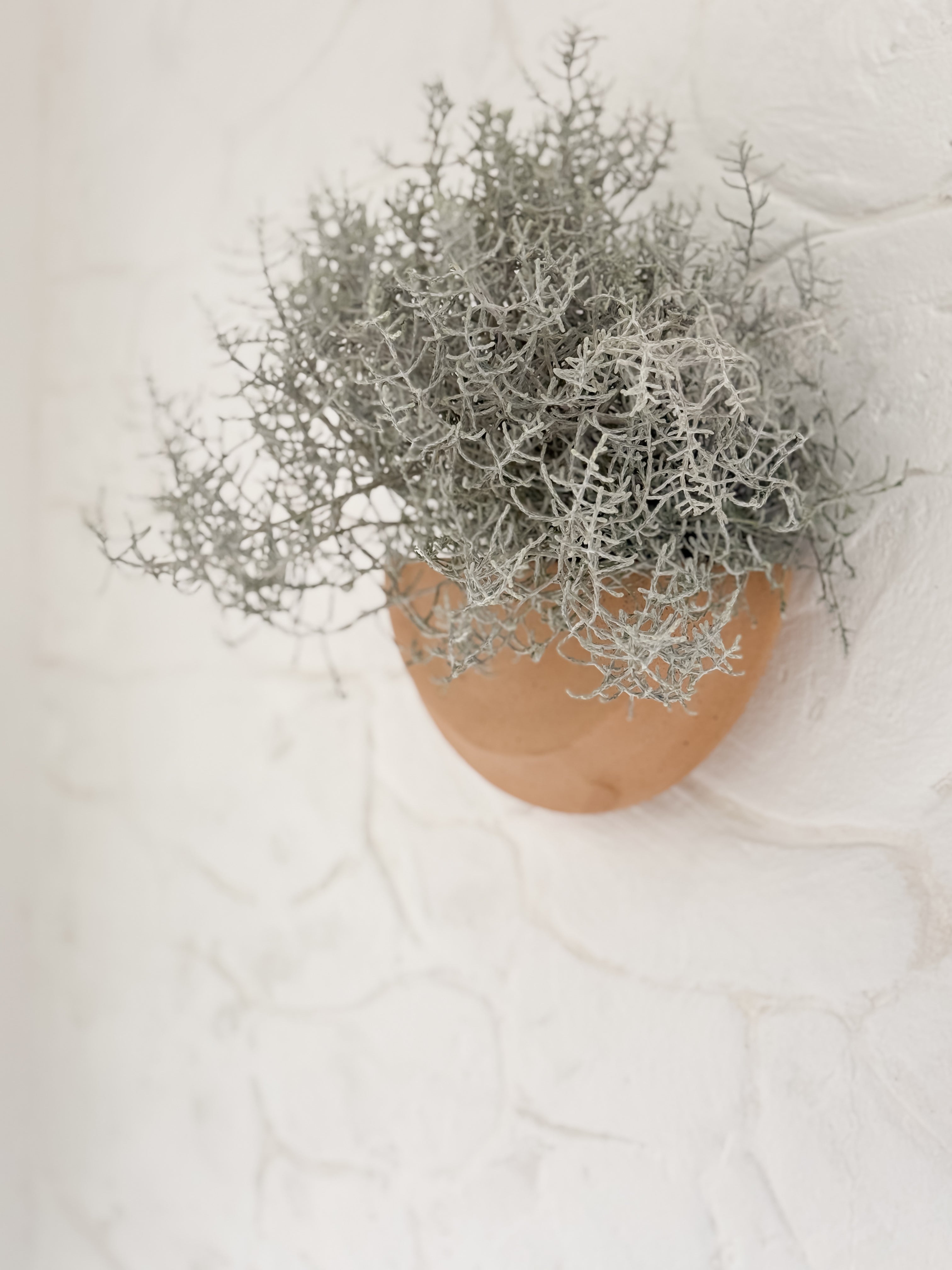 Handmade natural stoneware half-moon wall planter by Muddy Heart