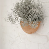 Handmade natural stoneware half-moon wall planter by Muddy Heart