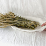 Large handmade rustic ceramic serving platter, 14 inches long, food-safe seconds-sale piece from Muddy Heart