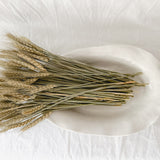 Large handmade rustic ceramic serving platter, 14 inches long, food-safe seconds-sale piece from Muddy Heart