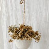 Handmade gloss white ceramic pod-shaped hanging vessel on an 18-inch rope, for flowers or trailing plants, seconds-sale piece from Muddy Heart