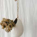 Handmade gloss white ceramic pod-shaped hanging vessel on an 18-inch rope, for flowers or trailing plants, seconds-sale piece from Muddy Heart