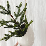 Handmade gloss white ceramic pod-shaped hanging vessel on an 18-inch rope, for flowers or trailing plants, seconds-sale piece from Muddy Heart