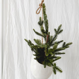 Handmade gloss white ceramic pod-shaped hanging vessel on an 18-inch rope, for flowers or trailing plants, seconds-sale piece from Muddy Heart