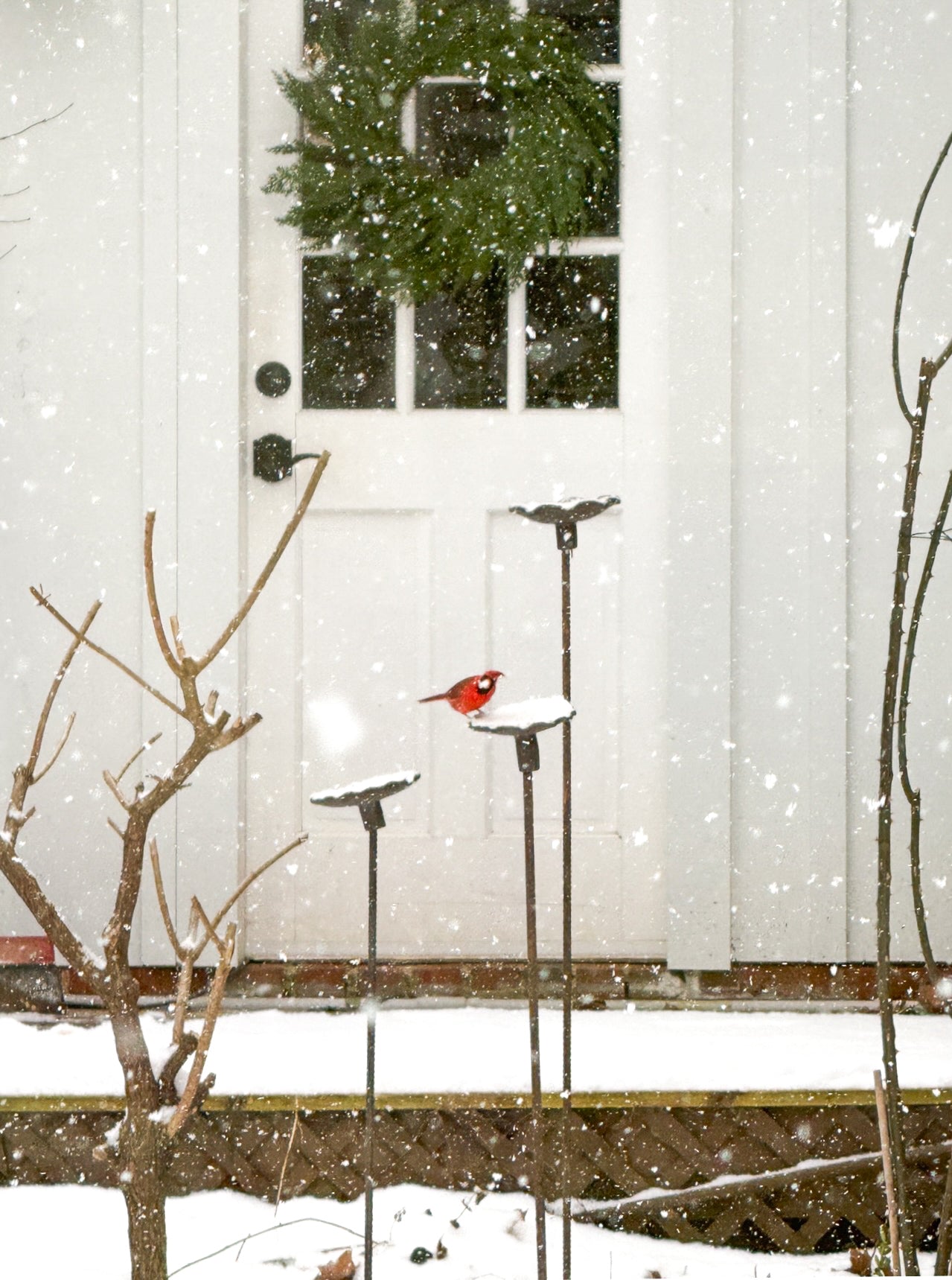 Handmade stoneware bird feeder and bath with pressed flower and leaf detailing for the garden.