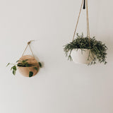 Handmade carved ceramic hanging planter with rope for trailing plants