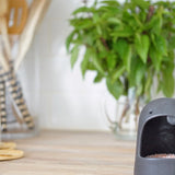 Whimsical handmade ceramic salt keeper shaped like a smiling monster