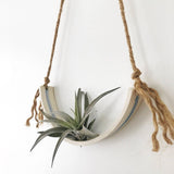 Handmade porcelain half-moon wall planter with watercolor glaze stripe holding an air plant by Muddy Heart