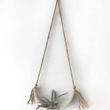 Handmade porcelain half-moon wall planter with watercolor glaze stripe holding an air plant by Muddy Heart