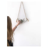 Handmade porcelain half-moon wall planter with watercolor glaze stripe holding an air plant by Muddy Heart