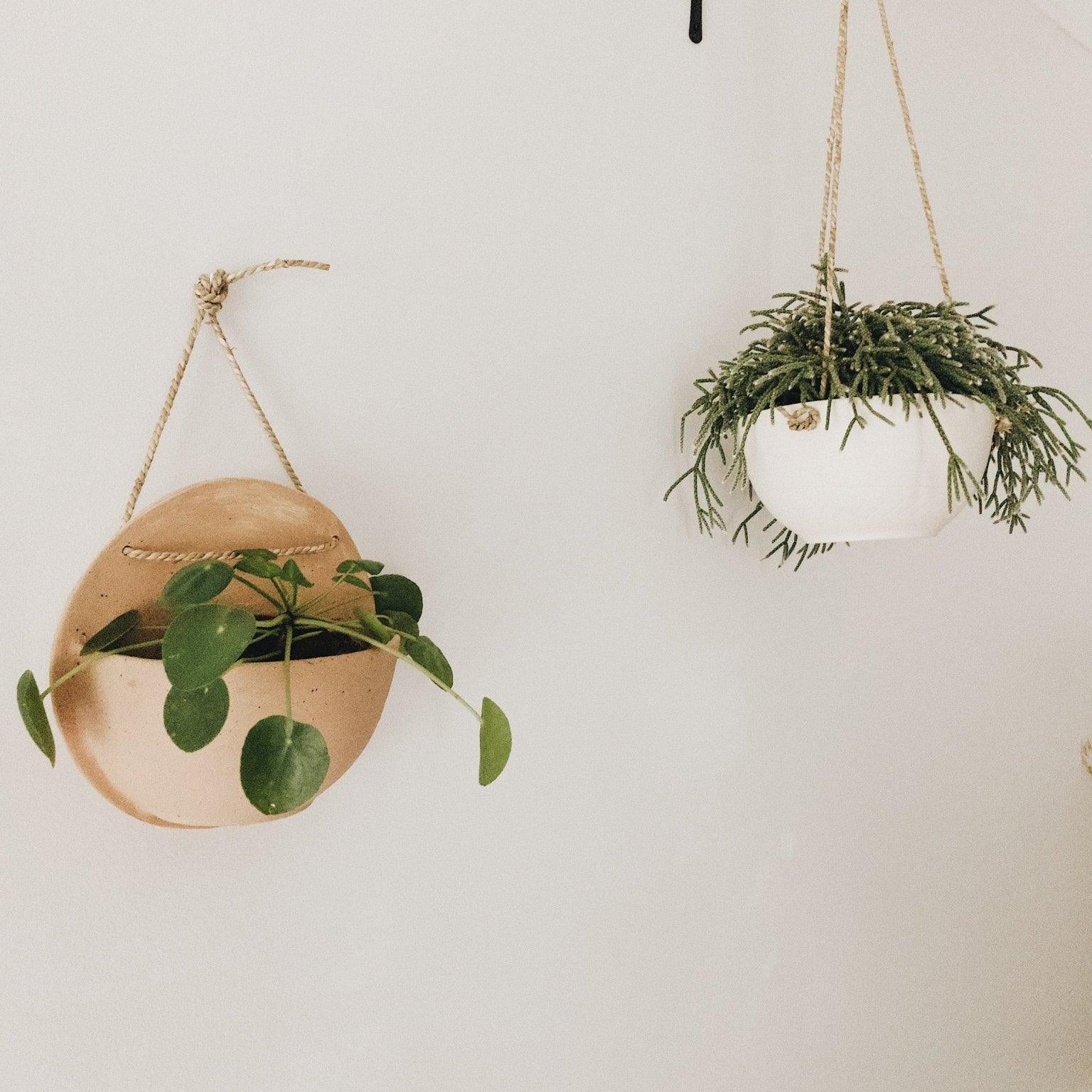 Handmade round ceramic wall pocket planter in a neutral finish by Muddy Heart